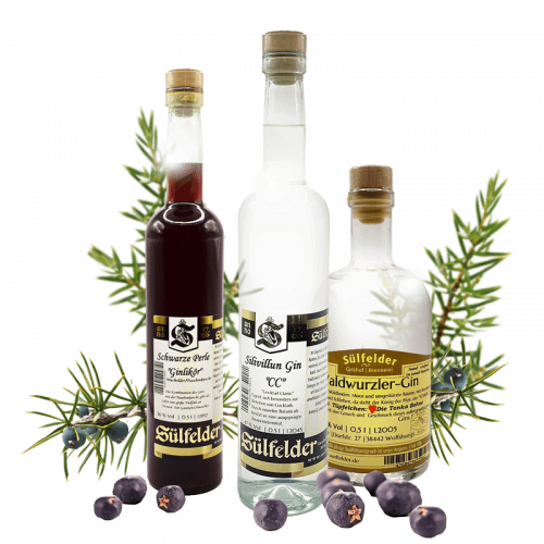 Gin